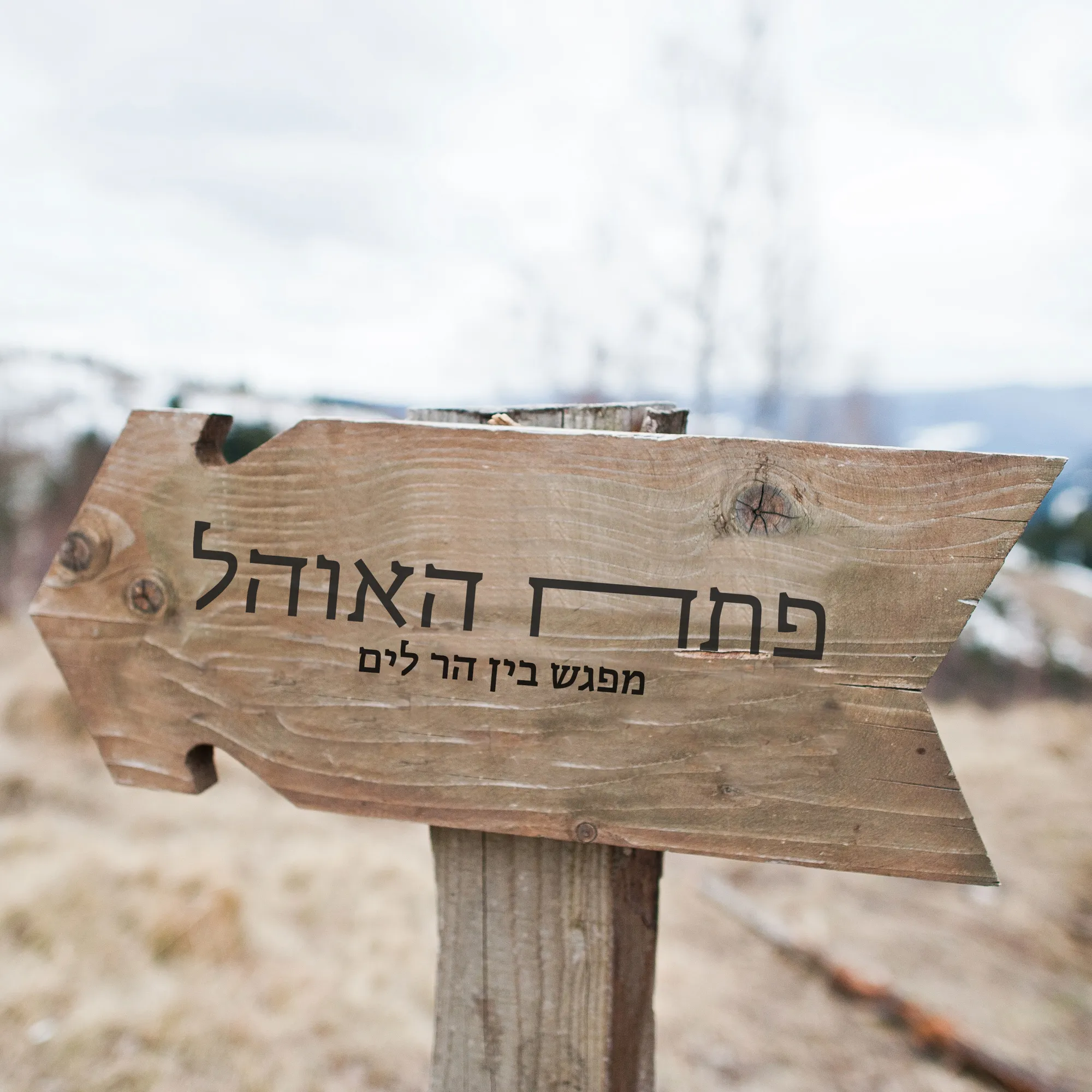 שלט עץ בצורת חץ עם לוגו פתח האוהל והכיתוב מפגש בין הר לים